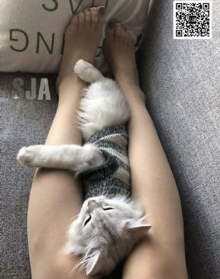 亚洲黄色网站在线goop_剧情片在线观看完整版